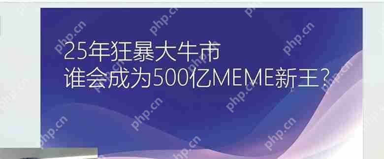 谁会成为25年狂暴大牛市500亿meme之王?一文介绍